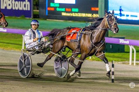 harness racing odds|Gloucester Park .